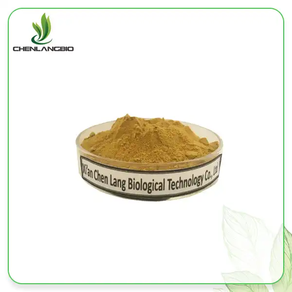 Angelica Root Extract Powder